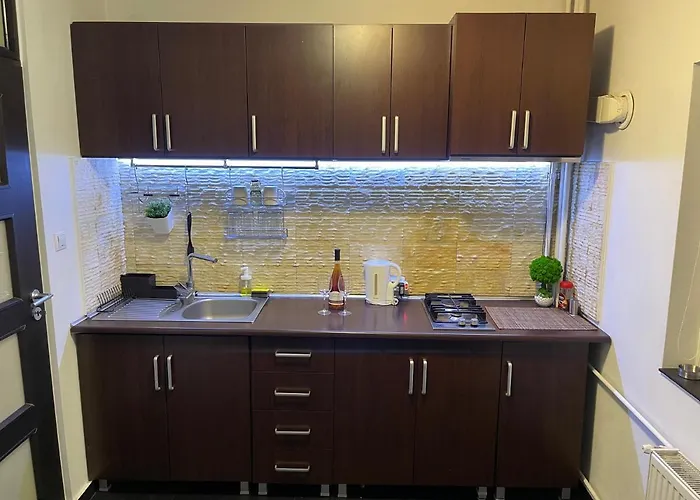 Turqoise Luxury Near Unirii Square Apartment