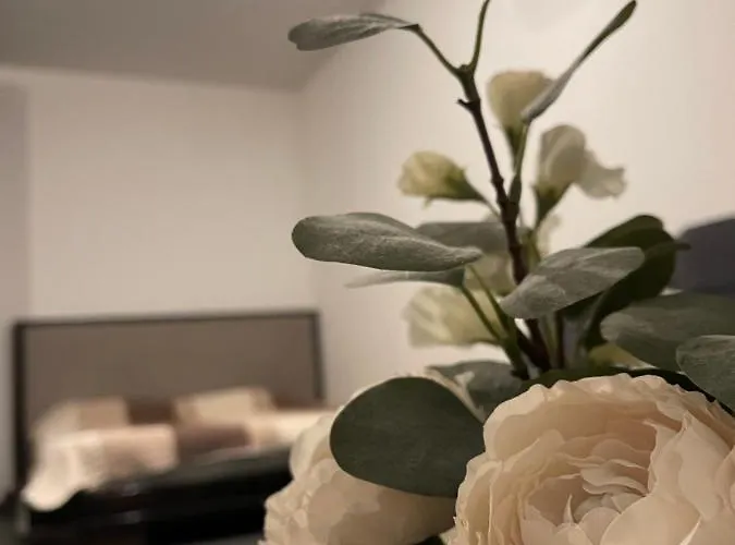 Turqoise Luxury Near Unirii Square بوخارست