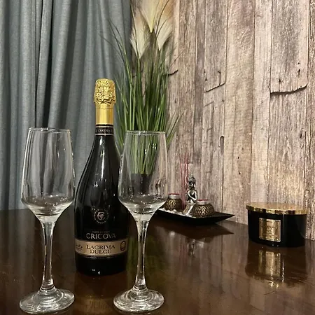 Turqoise Luxury Near Unirii Square Apartment Bucharest