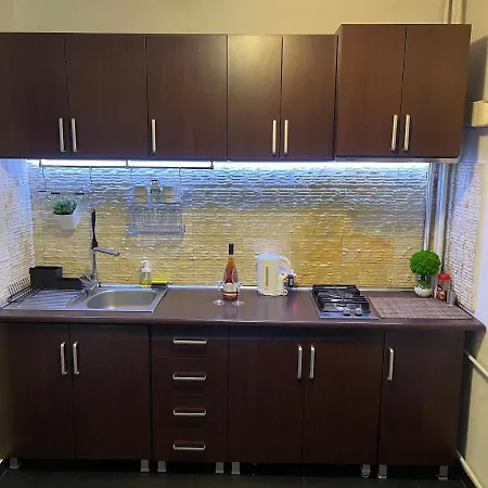 Turqoise Luxury Near Unirii Square Apartment
